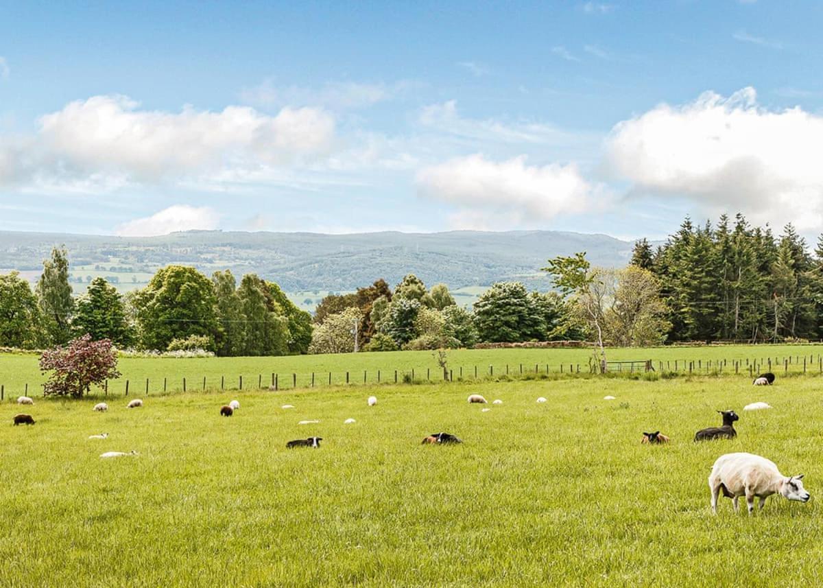 Kessock Highland Lodges North Kessock Extérieur photo